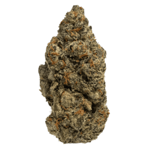 Gelato