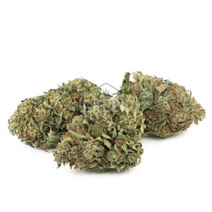 OG Kush
