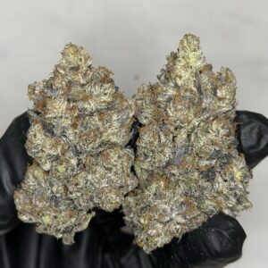 BUY ANY AAAA QUADS OZ OVER $240 AND GET FREE GRABBA (TOBACO)